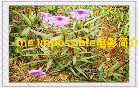 the impossible电影简介？the impossible movie